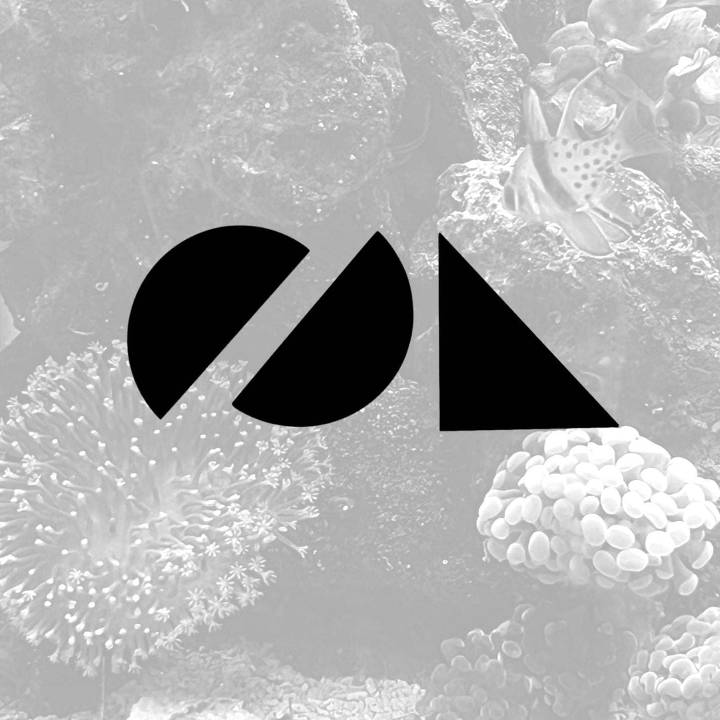 O2 AIO Aquarium